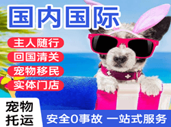 建三江湿地机场物流国际宠物托运 【国